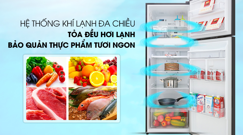 Tủ lạnh LG Inverter 315 lít GN-D315BL Tủ lạnh LG Inverter 315 lít GN-D315BL