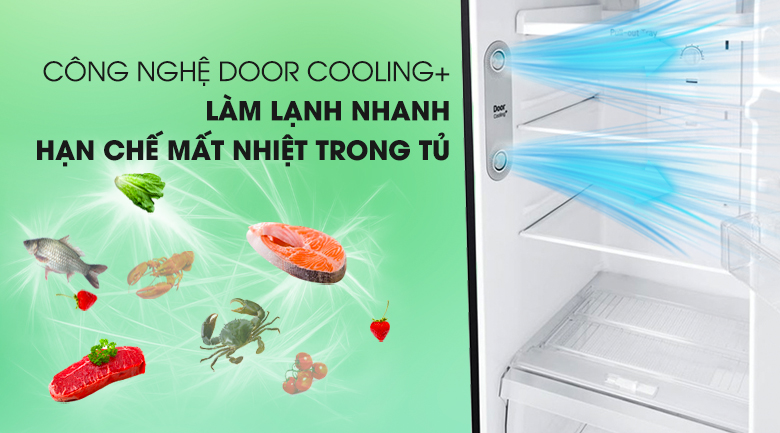 Tủ lạnh LG Inverter 315 lít GN-D315BL Tủ lạnh LG Inverter 315 lít GN-D315BL
