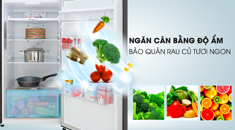 Tủ lạnh LG Inverter 315 lít GN-D315BL Tủ lạnh LG Inverter 315 lít GN-D315BL
