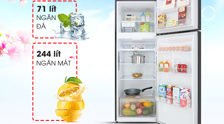 Tủ lạnh LG Inverter 315 lít GN-M315BL Tủ lạnh LG Inverter 315 lít GN-M315BL