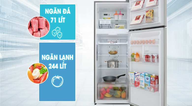Tủ lạnh LG Inverter 315 lít GN-M315PS Tủ lạnh LG Inverter 315 lít GN-M315PS