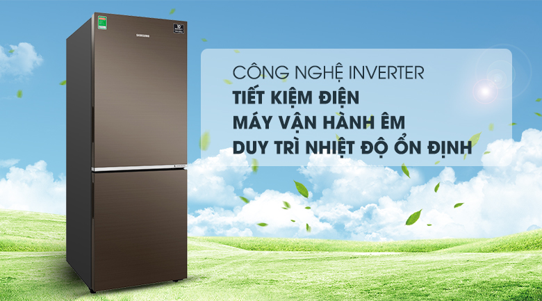 Tủ lạnh Samsung Inverter 276 lít RB27N4010DX/SV