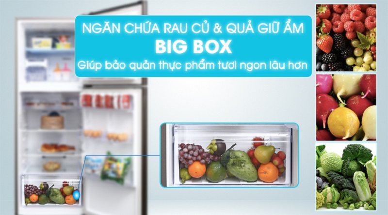 Tủ lạnh Samsung Inverter 299 lít RT29K5532DX/SV Tủ lạnh Samsung Inverter 299 lít RT29K5532DX/SV