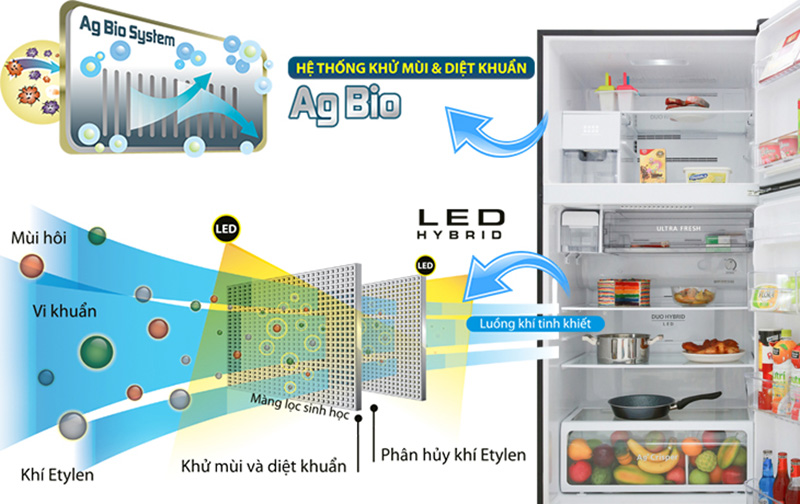 Tủ lạnh Toshiba Inverter 608 lít GR-AG66VA X Tủ lạnh Toshiba Inverter 608 lít GR-AG66VA X