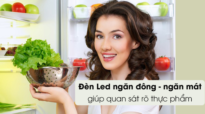 Tủ lạnh Toshiba Inverter 608 lít GR-AG66VA X Tủ lạnh Toshiba Inverter 608 lít GR-AG66VA X