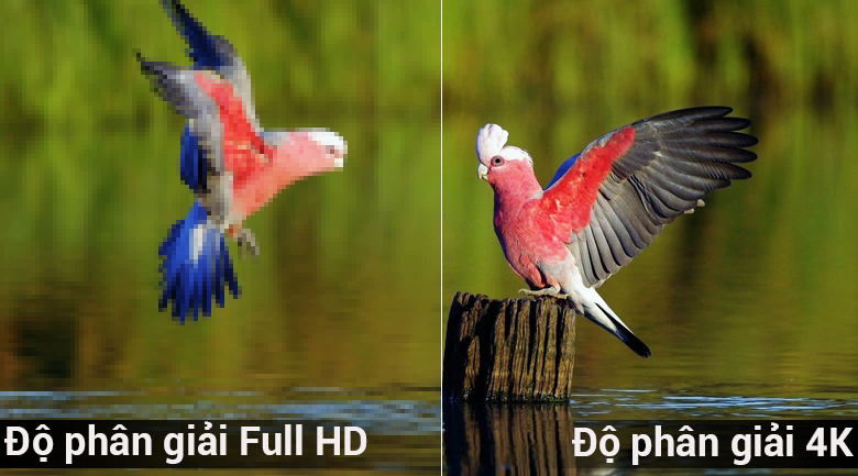 Android Tivi Sharp 4K 50 inch LC-50UA6800X Android Tivi Sharp 4K 50 inch LC-50UA6800X