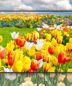 Smart Tivi Samsung 4k 65 Inch 65au7000 30418 4