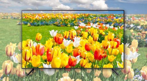 Smart Tivi Samsung 4k 65 Inch 65au7000 30418 4
