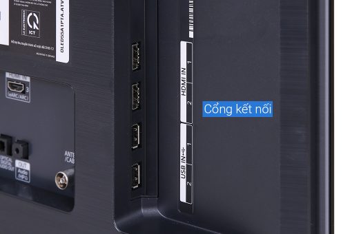 Lg Oled 55a1pta 5
