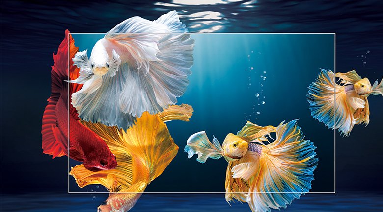 Android Tivi TCL 4K 55 inch 55P615 Android Tivi TCL 4K 55 inch 55P615