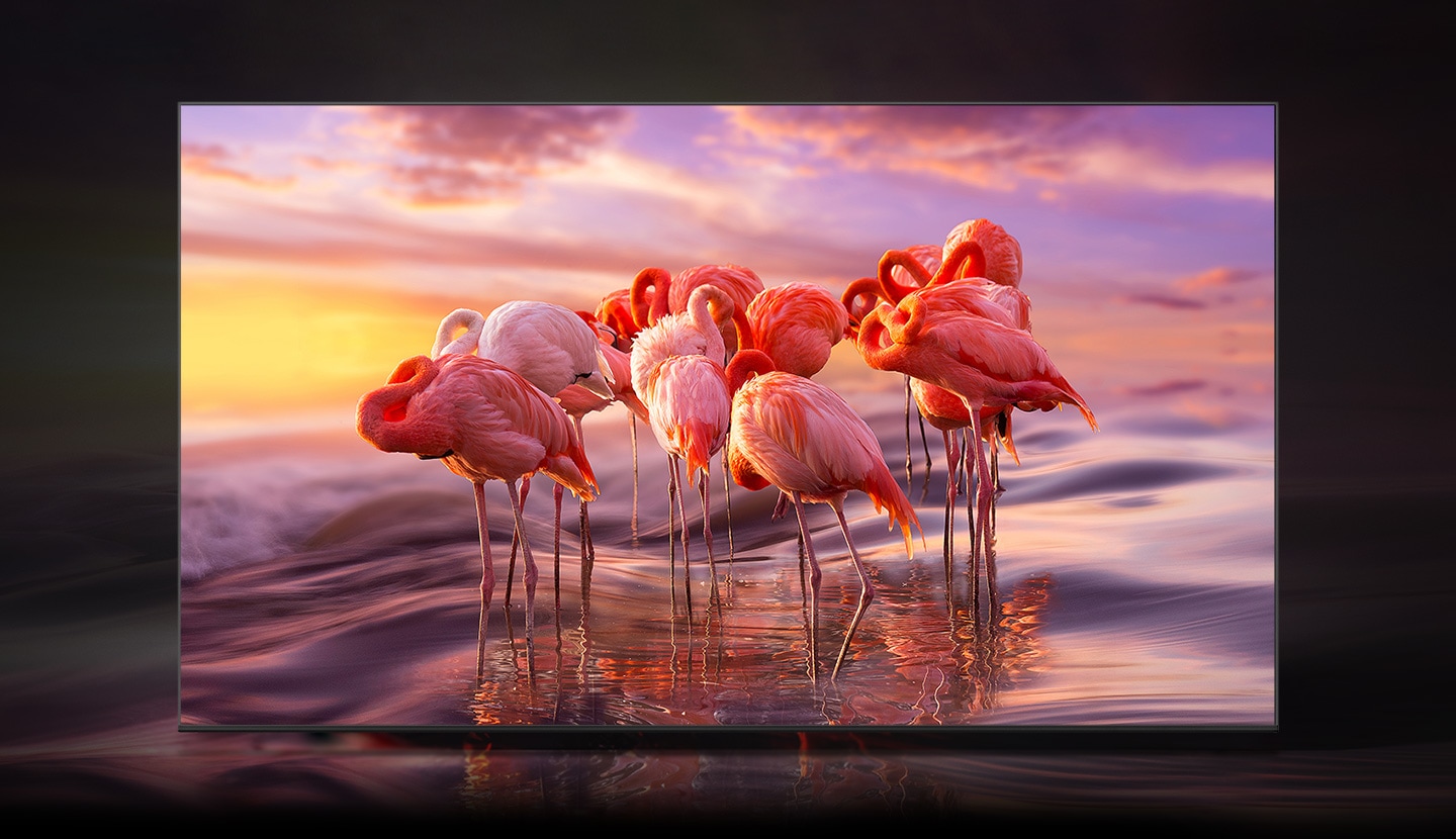 Smart Tivi Samsung QLED 4K 65 inch QA65Q63BAKXXV Smart Tivi Samsung QLED 4K 65 inch QA65Q63BAKXXV
