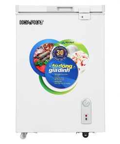 Tu Dong Hoa Phat 107 Lit Hcf 106s1d 2
