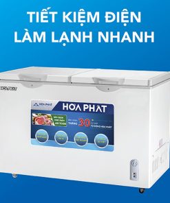 Tủ đông Hòa Phát 205 lít HCF 506S2Đ2