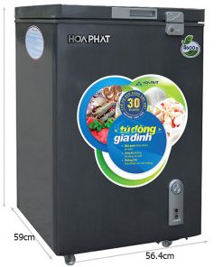 Tu Dong Mini Hoa Phat Hcf 106s1dsh 100 Lit Dan Dong 5