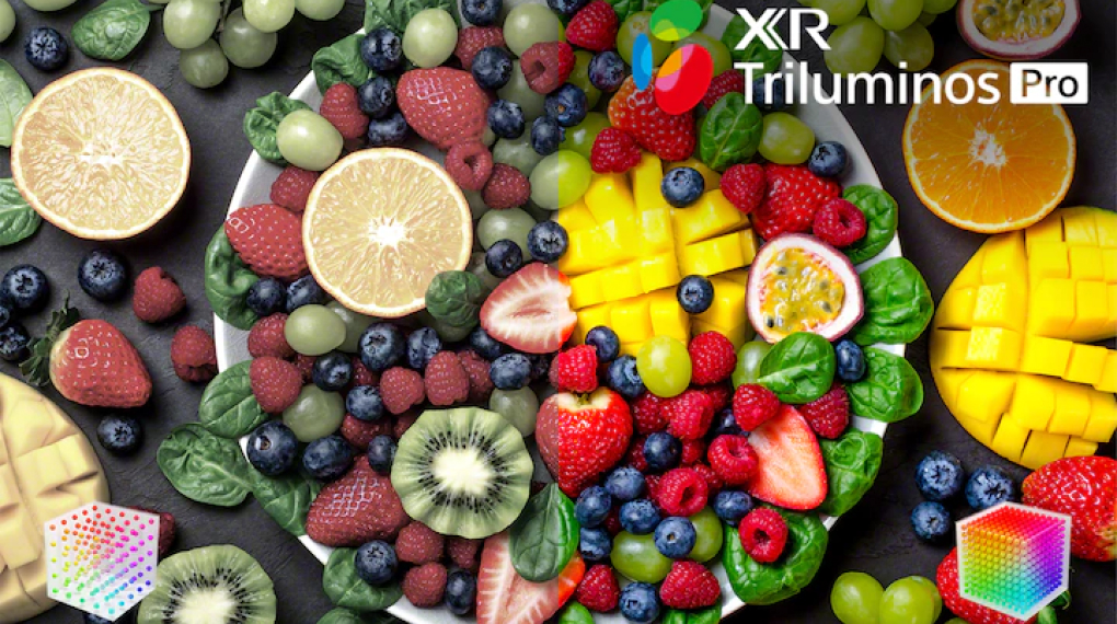 Google Tivi Sony 4K 55 inch XR-55X90K Google Tivi Sony 4K 55 inch XR-55X90K