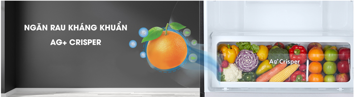 Công nghệ kháng khuẩn trên tủ lạnh Toshiba