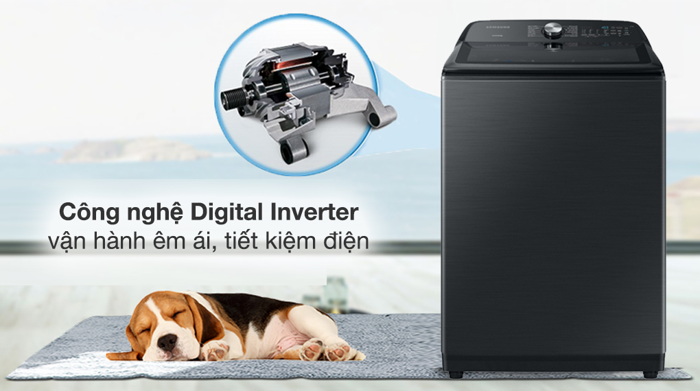 Máy Giặt Samsung Inverter 23 kg WA23A8377GV/SV Máy Giặt Samsung Inverter 23 kg WA23A8377GV/SV