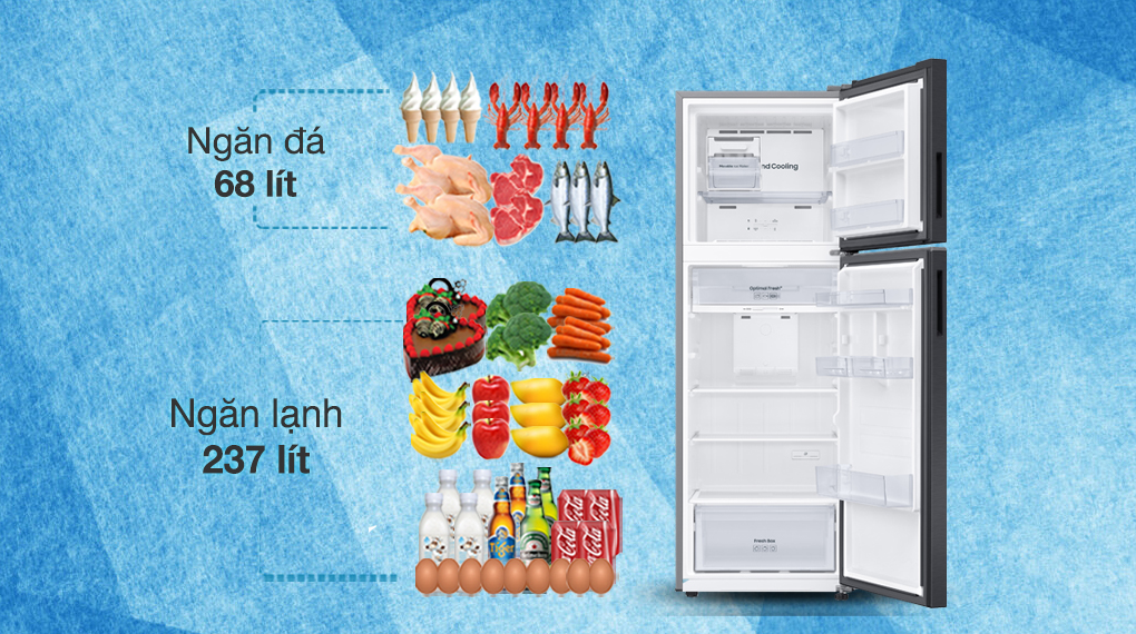 Tủ lạnh Samsung Inverter 305 lít RT31CG5424B1SV Tủ lạnh Samsung Inverter 305 lít RT31CG5424B1SV